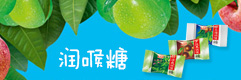 韩世食品有限公司